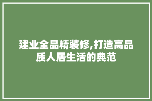 建业全品精装修,打造高品质人居生活的典范