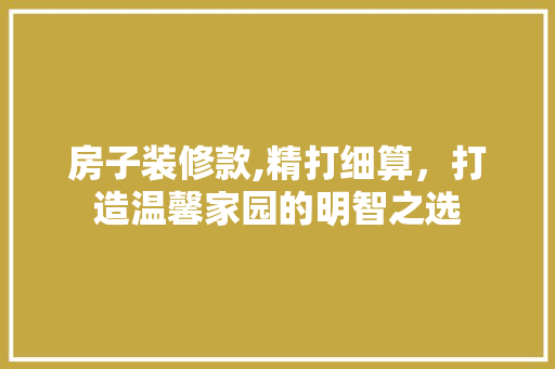 房子装修款,精打细算，打造温馨家园的明智之选 现代风格装饰
