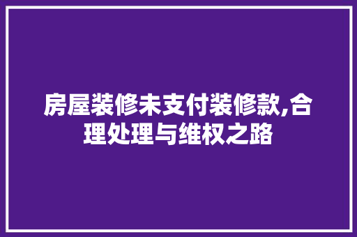 房屋装修未支付装修款,合理处理与维权之路 客厅装修