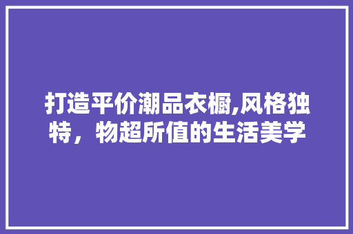 打造平价潮品衣橱,风格独特，物超所值的生活美学