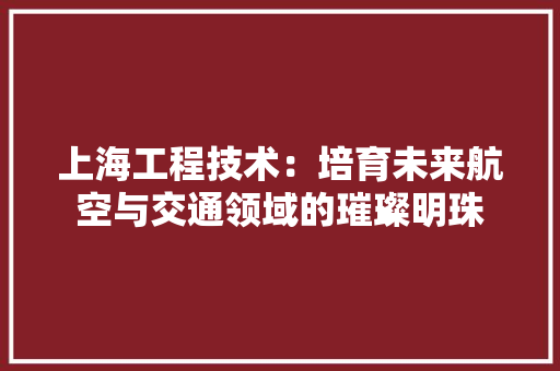 上海工程技术：培育未来航空与交通领域的璀璨明珠
