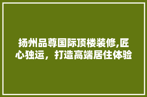 扬州品尊国际顶楼装修,匠心独运，打造高端居住体验 现代风格装饰