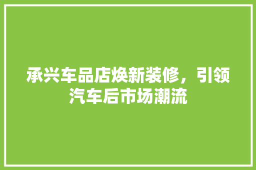 承兴车品店焕新装修，引领汽车后市场潮流 木雕艺术