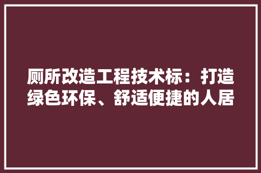 厕所改造工程技术标：打造绿色环保、舒适便捷的人居环境 家居装修