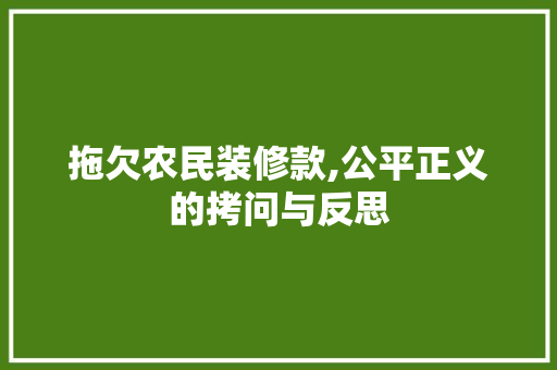 拖欠农民装修款,公平正义的拷问与反思 地板材料