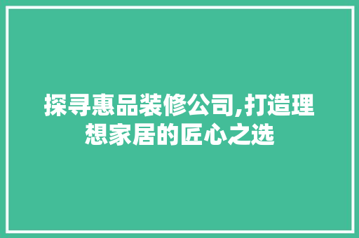 探寻惠品装修公司,打造理想家居的匠心之选 现代风格装饰