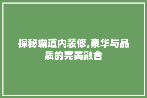 探秘霸道内装修,豪华与品质的完美融合 软装设计