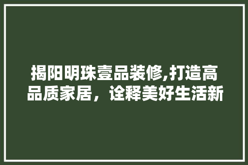 揭阳明珠壹品装修,打造高品质家居，诠释美好生活新篇章 家居装修