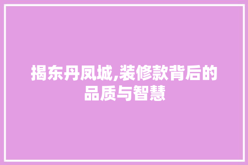 揭东丹凤城,装修款背后的品质与智慧 软装设计