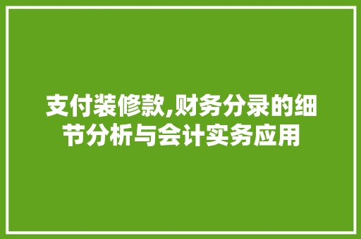 支付装修款,财务分录的细节分析与会计实务应用 软装设计