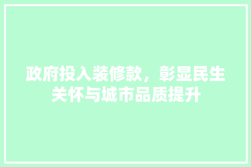 政府投入装修款，彰显民生关怀与城市品质提升 现代风格装饰