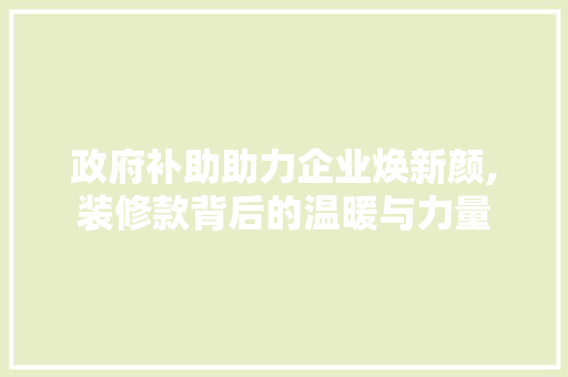 政府补助助力企业焕新颜,装修款背后的温暖与力量