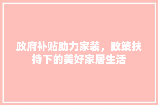 政府补贴助力家装，政策扶持下的美好家居生活