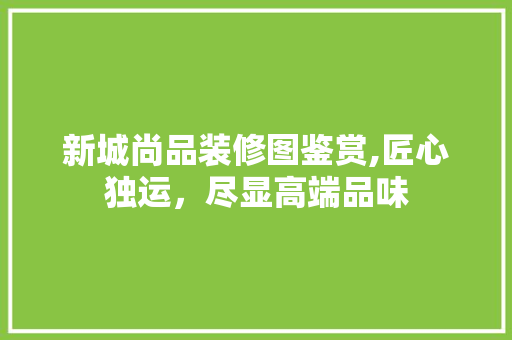 新城尚品装修图鉴赏,匠心独运，尽显高端品味