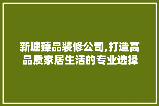 新塘臻品装修公司,打造高品质家居生活的专业选择 软装设计