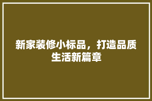 新家装修小标品，打造品质生活新篇章 客厅装修