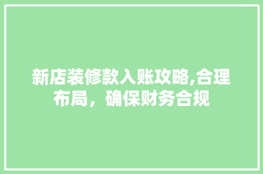 新店装修款入账攻略,合理布局，确保财务合规 现代风格装饰