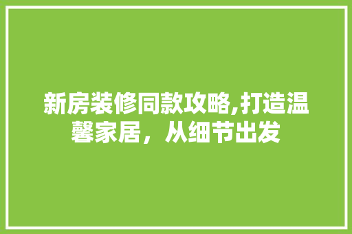 新房装修同款攻略,打造温馨家居，从细节出发 现代风格装饰