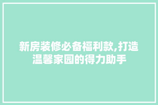 新房装修必备福利款,打造温馨家园的得力助手 家居装修