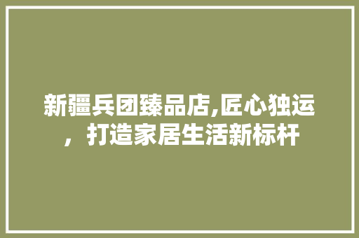新疆兵团臻品店,匠心独运，打造家居生活新标杆 软装设计