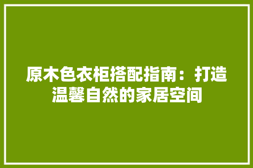 原木色衣柜搭配指南：打造温馨自然的家居空间 卧室装修