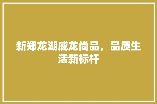 新郑龙湖威龙尚品，品质生活新标杆 卧室装修