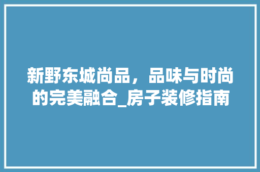 新野东城尚品，品味与时尚的完美融合_房子装修指南 现代风格装饰