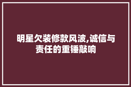 明星欠装修款风波,诚信与责任的重锤敲响