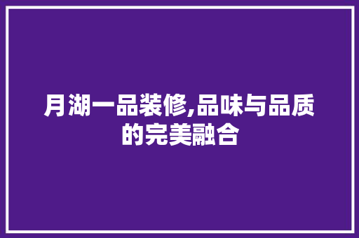 月湖一品装修,品味与品质的完美融合