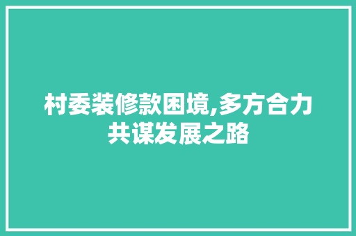 村委装修款困境,多方合力共谋发展之路 地板材料
