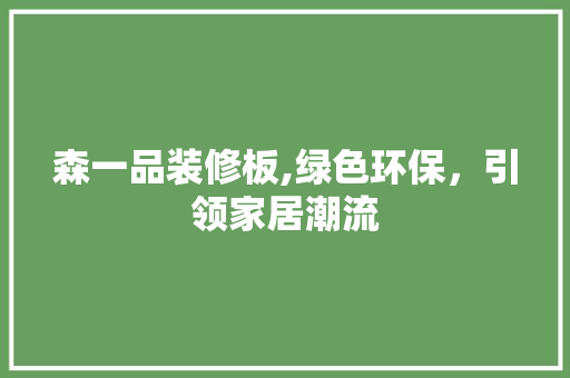 森一品装修板,绿色环保，引领家居潮流 现代风格装饰