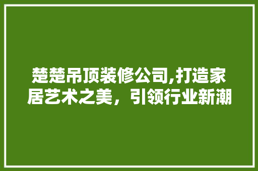 楚楚吊顶装修公司,打造家居艺术之美，引领行业新潮流 室内设计