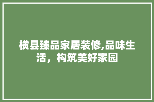 横县臻品家居装修,品味生活，构筑美好家园 客厅装修