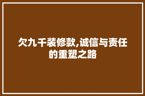 欠九千装修款,诚信与责任的重塑之路 现代风格装饰