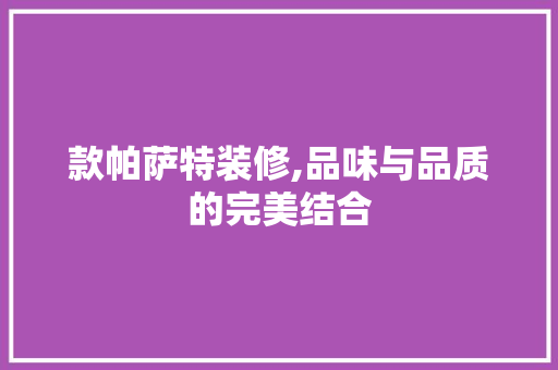款帕萨特装修,品味与品质的完美结合 客厅装修