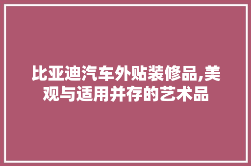 比亚迪汽车外贴装修品,美观与适用并存的艺术品 中式风格装饰
