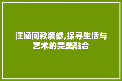 汪涵同款装修,探寻生活与艺术的完美融合 现代风格装饰