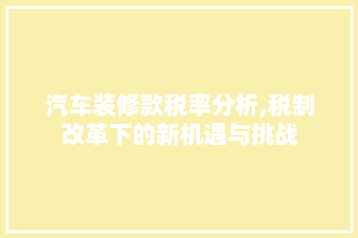 汽车装修款税率分析,税制改革下的新机遇与挑战