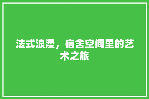 法式浪漫，宿舍空间里的艺术之旅 客厅装修