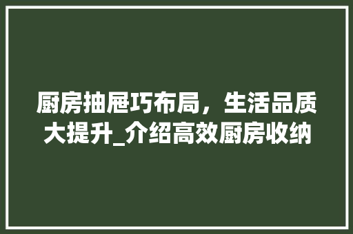 厨房抽屉巧布局，生活品质大提升_介绍高效厨房收纳之路 卧室装修