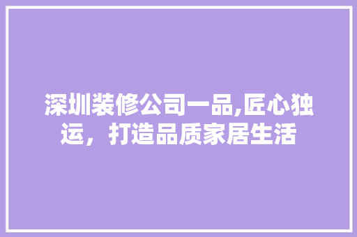 深圳装修公司一品,匠心独运，打造品质家居生活 家居装修