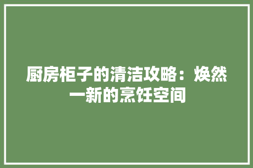 厨房柜子的清洁攻略：焕然一新的烹饪空间 卧室装修