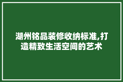 湖州铭品装修收纳标准,打造精致生活空间的艺术