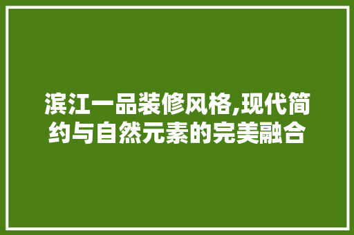滨江一品装修风格,现代简约与自然元素的完美融合 家居装修