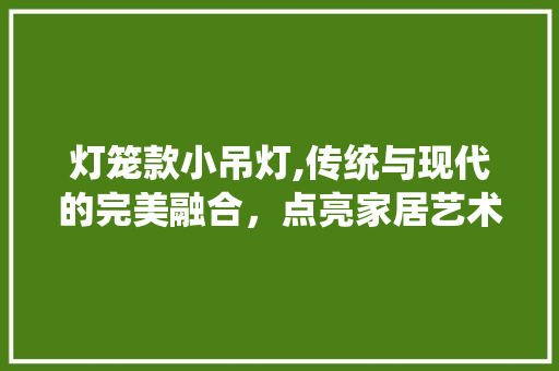 灯笼款小吊灯,传统与现代的完美融合，点亮家居艺术之美 家居装修