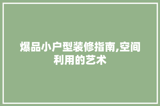 爆品小户型装修指南,空间利用的艺术 室内设计