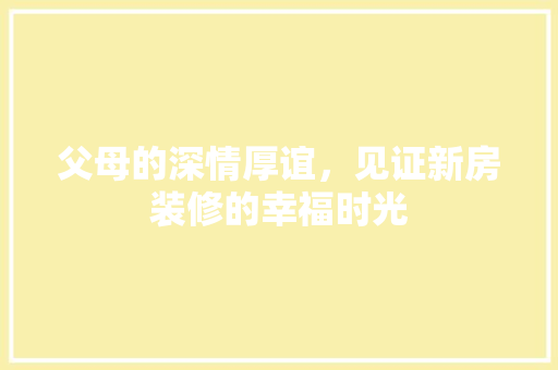 父母的深情厚谊，见证新房装修的幸福时光 软装设计