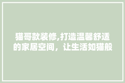 猫哥款装修,打造温馨舒适的家居空间，让生活如猫般悠闲惬意