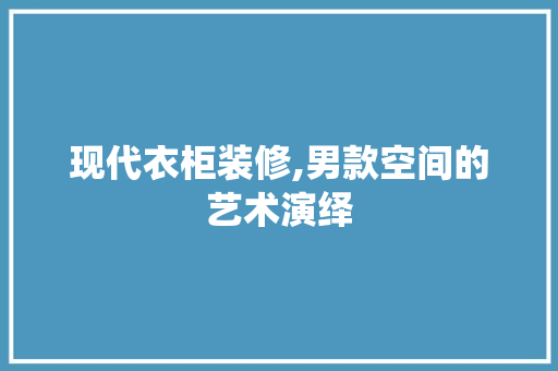 现代衣柜装修,男款空间的艺术演绎 家居装修