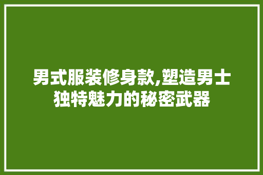 男式服装修身款,塑造男士独特魅力的秘密武器 中式风格装饰